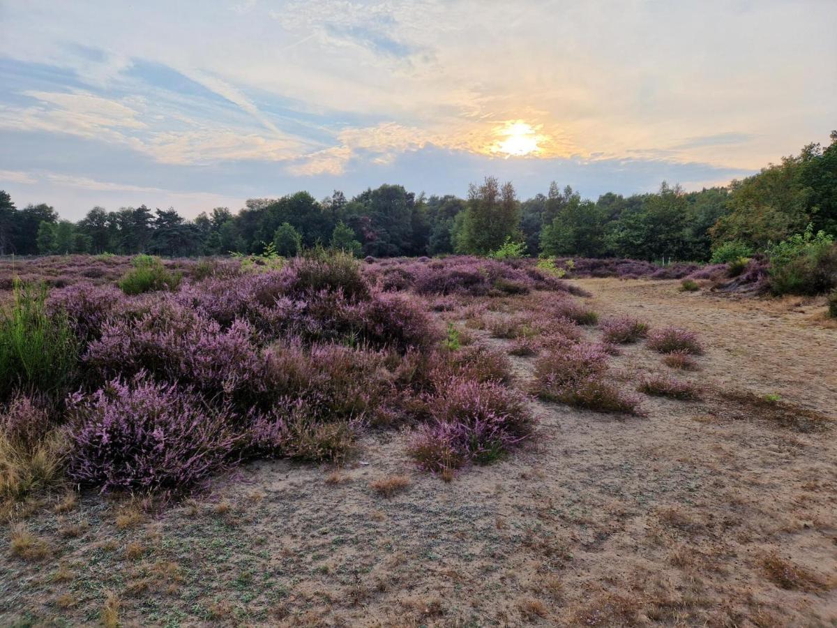 De Wiedenweide Wanneperveen Exterior foto